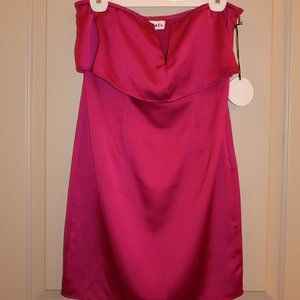 Fuchsia Satin Strapless Mini Dress NWT - Size S